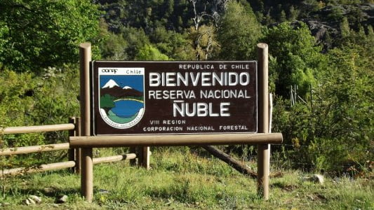 Reserva Nacional Ñuble